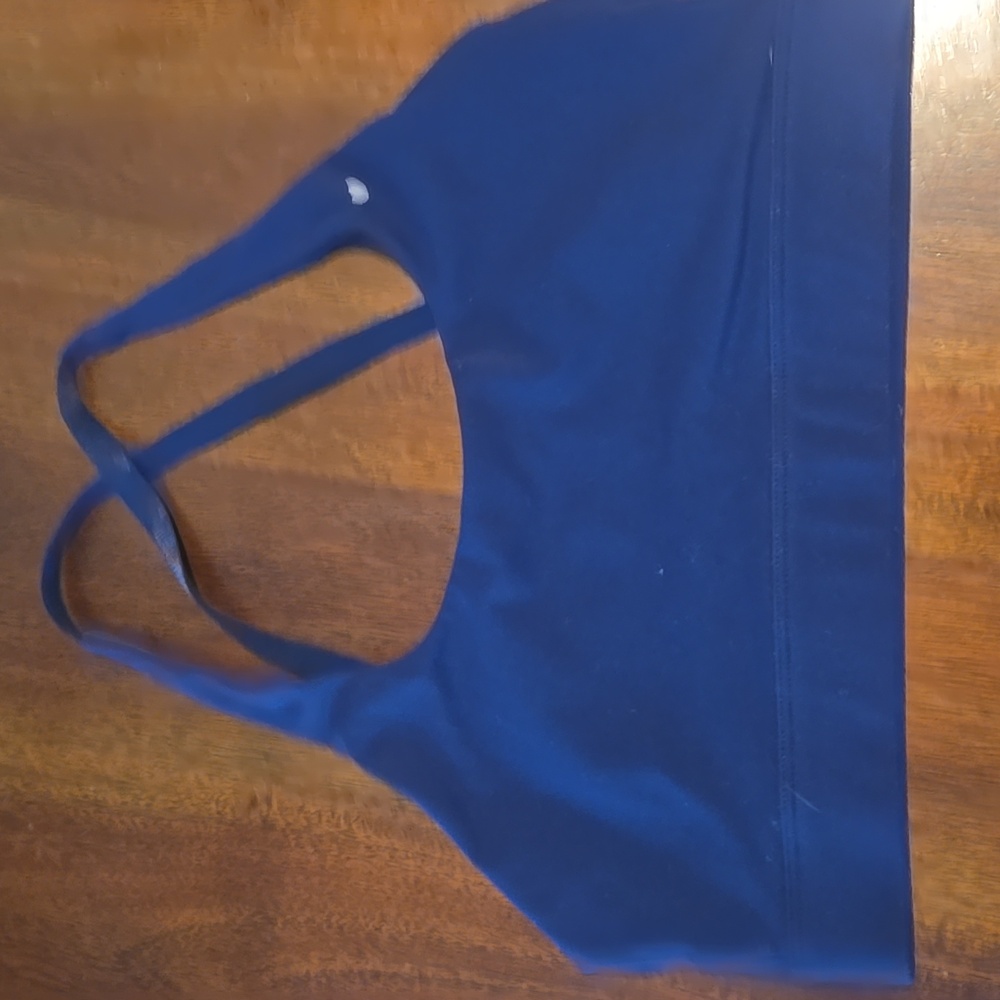 LOWEST PRICE-Eloise Sports Bra - Blackberry